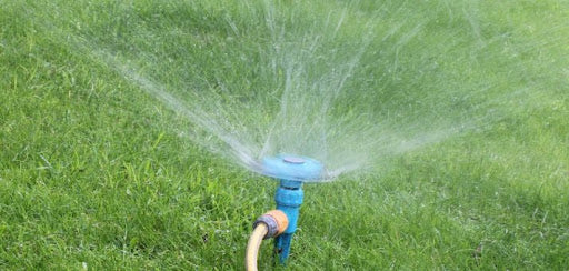 How Long To Water Grass Seed