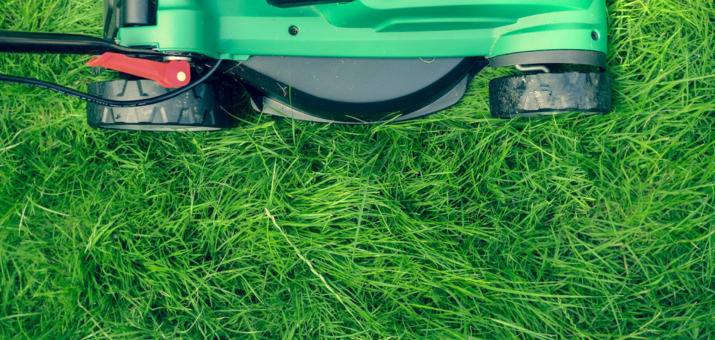 How to Use a Grass Seed Spreader?