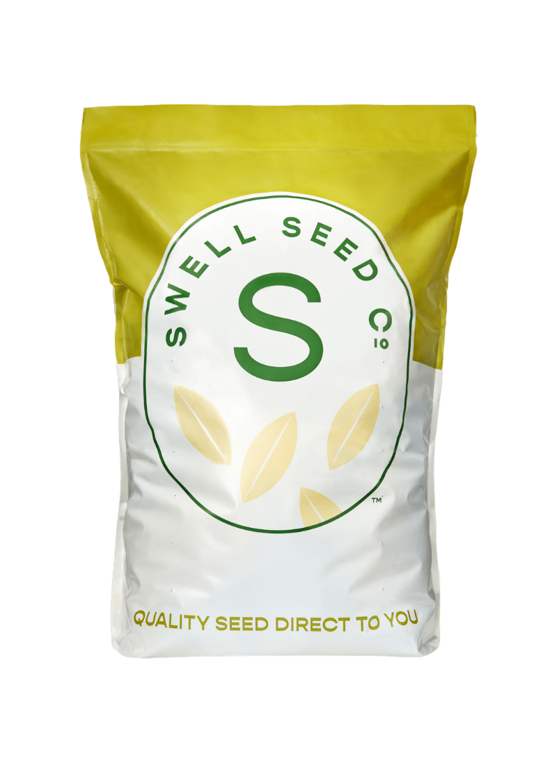 ALL-PURPOSE PASTURE GRASS SEED MIXTURE